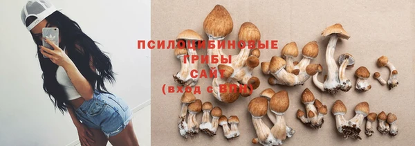 МДПВ Арсеньев