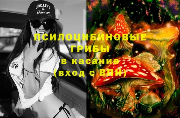 МДПВ Арсеньев