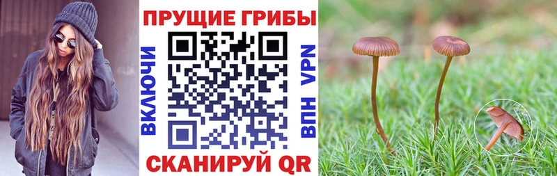 Псилоцибиновые грибы MAGIC MUSHROOMS  дарнет шоп  Жуковка 